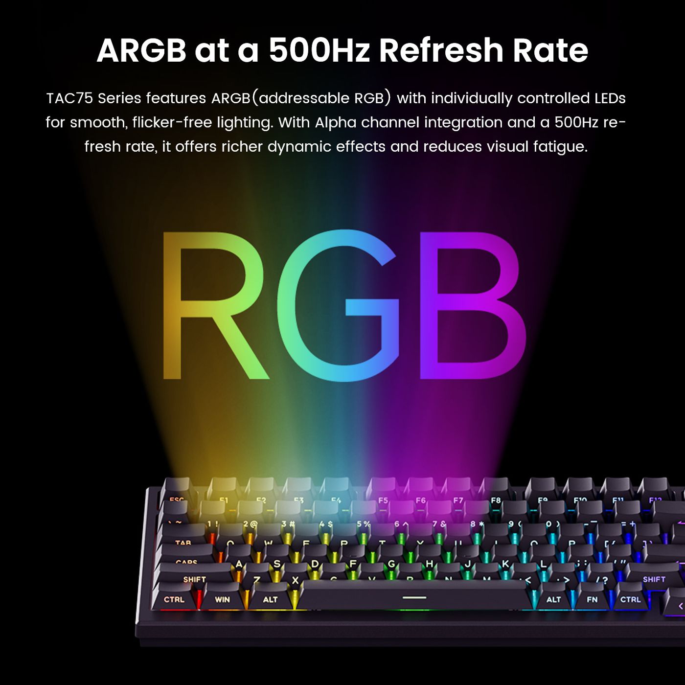 AKKO TAC75 HE 마그네틱 스위치 키보드 75% 게이밍 키보드 빠른 트리거 0.005mm 8K RGB 유선 e스포츠 커스텀 키보드 게이머용 상품 이미지 5